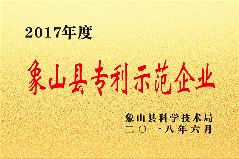 2017年度象山縣zhuanli示范企業(yè)